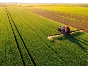 Un indulto para los agricultores estadounidenses afectados por los biosólidos : IPS Agencia de Noticias