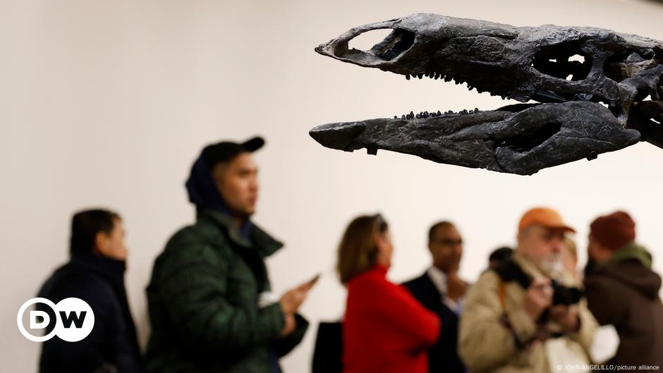 Un nuevo hallazgo fósil desafía el origen de los dinosaurios – DW – 09/01/2025