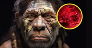 análisis de ADN revela cómo sus grupos sanguíneos influyeron en su desaparición y la supervivencia de los sapiens