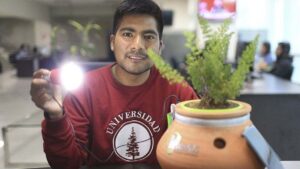 así es como un ingeniero ha logrado generar luz a partir de plantas