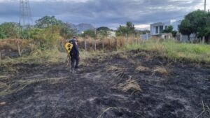 comunidad exige sanciones a manos criminales
