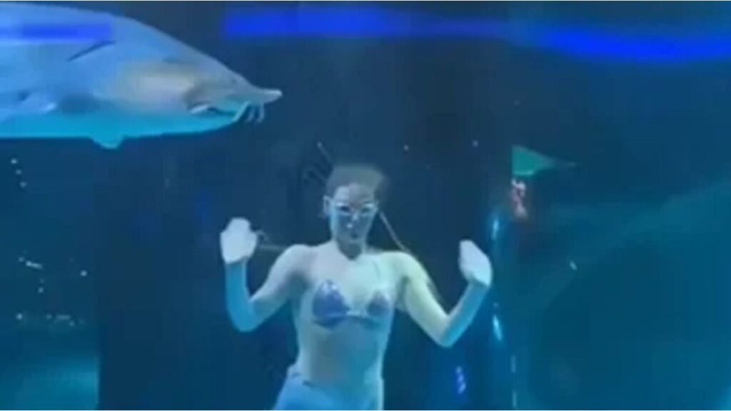 desesperante momento en el que un pez ataca a una mujer durante un show en el agua