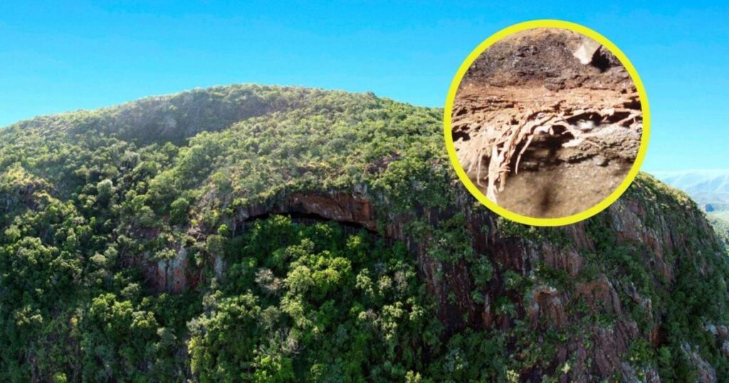 el descubrimiento de la "cama" más antigua de la humanidad nos descubre cómo los humanos dormían y combatían insectos hace 200.000 años