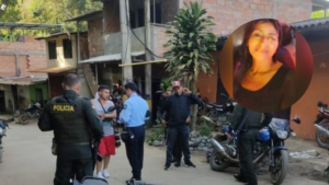 la víctima habría sido asesinada por su pareja tras una discusión