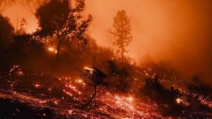 las imágenes más impactantes de la tragedia