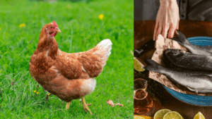 las patas de pollo o las escamas de pescado?