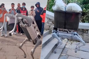 mantienen limpio el lugar y hacen piruetas para los turistas