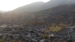 más de 12 conflagraciones en lo que va del año en varios municipios