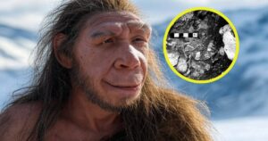 su físico estaba preparado para cualquier clima y no solo para el frío, desafiando lo que creíamos hasta ahora