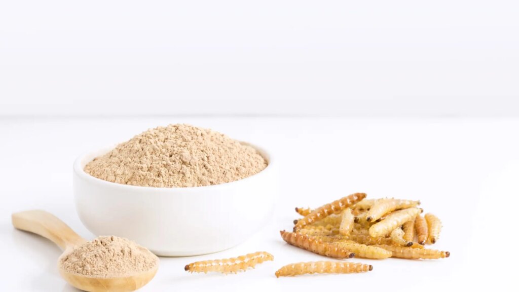 ¿Estamos comiendo alimentos elaborados con harina de gusano?