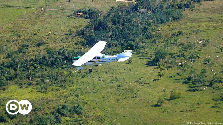 ¿Por qué la frontera Venezuela-Brasil atrae al narcotráfico? – DW – 14/02/2025