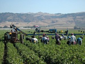 Agro: alterar las reglas de juego con EE. UU. causará un daño irreparable al sector según la SAC | Agro | Economía