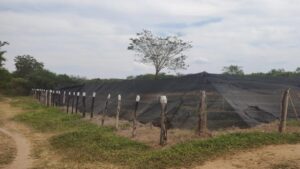 Campesinos del sur del Atlántico denuncian fracaso de proyecto agroindustrial