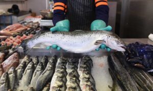 Consumo de pescado per cápita en el país - Agencia Carabobeña de Noticias