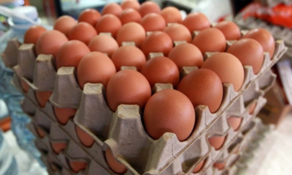 Consumo de pollo y huevo en Venezuela ronda el 65 por ciento
