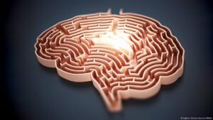 Descubren el mecanismo cerebral que desata la creatividad – DW – 14/02/2025