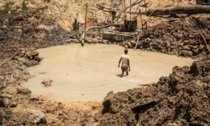 desertificación del sur del orinoco