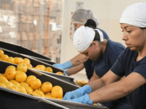 El trabajo no remunerado afecta principalmente a las mujeres en Colombia | Empleo | Economía