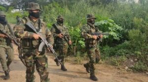 FANB desmantela 17 campamentos para procesar droga en el Táchira