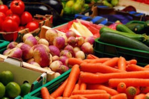 FAO destina 9,3 millones de dólares en Cuba para incrementar la producción de alimentos