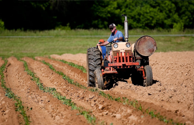 Fedeagro: Inversión millonaria elevaría la soberanía alimentaria en solo 5 años