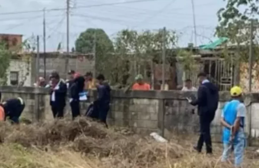 Hallan osamenta en zona boscosa de San Carlos