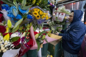 Importación de flores en EE.UU. prospera durante San Valentín pese al fantasma de aranceles