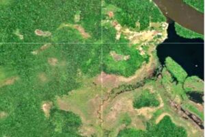 Denuncian incremento de la pérdida de cobertura vegetal en el sector Carida en Amazonas por minería ilegal con el amparo de militares