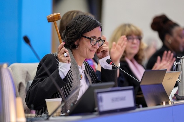 La COP16 logra nuevo acuerdo sobre fondos para proteger la biodiversidad : IPS Agencia de Noticias