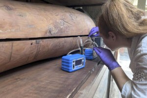 Las momias egipcias siguen oliendo a especias, dulce o madera 5 mil años después