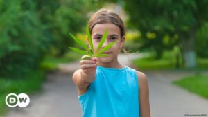 Los niños no fumadores también dan positivo por cannabis – DW – 10/02/2025