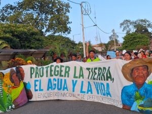 Monocultivos invaden territorios indígenas de Perú con ley antiforestal : IPS Agencia de Noticias