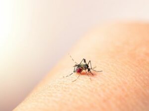 Nueva variante del dengue obliga a emitir alerta epidemiológica
