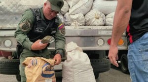 Ocultaban 64 mil dólares en sacos de abono