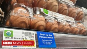 Por qué se ha disparado el precio de los huevos en EE.UU. y hasta los supermercados racionan su compra
