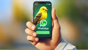 Qué es el "modo canario" de WhatsApp y cómo activarlo en tu teléfono móvil