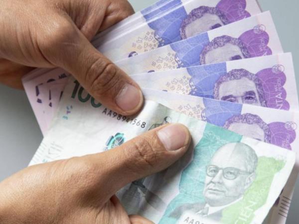 Qué pasó con el Presupuesto Nacional en el 2024 según la Javeriana | Crecimiento | Economía