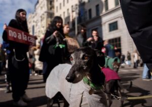 "Son perros de casa, no de caza"