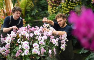 Turismo de orquídeas en la exhibición del Real Jardín Botánico de Londres