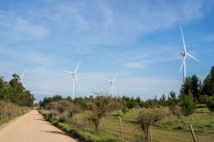 Vientos de cambio: fauna chilena en peligro por los parques eólicos : IPS Agencia de Noticias