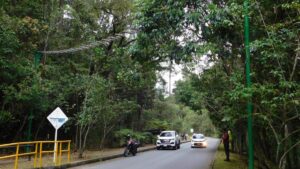 entregan pasos seguros para la fauna silvestre de la ciudad