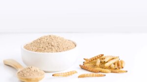 ¿Estamos comiendo alimentos elaborados con harina de gusano?