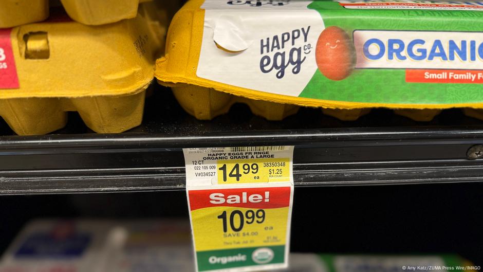 ¿Puede Europa ayudar a EEUU a paliar su escasez de huevos? – DW – 21/03/2025