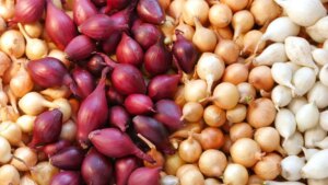 una experta revela cuál es fuente de antioxidantes y ayuda a la salud intestinal