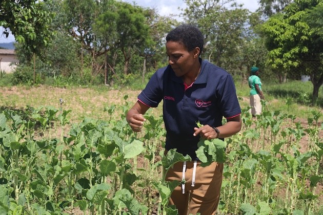 Acusada de “provocar” sequías, la comunidad Lgbti de Zimbabue se enfrenta a la crisis climática : IPS Agencia de Noticias
