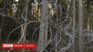 Bialowieza, el bosque en el que centenares de inmigrantes arriesgan sus vidas para tratar de ingresar a Europa