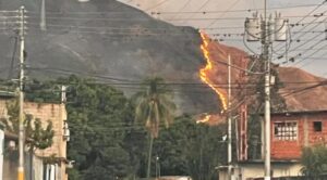 Bomberos y voluntarios combaten grave incendio forestal en el Parque Nacional Henri Pittier - AlbertoNews
