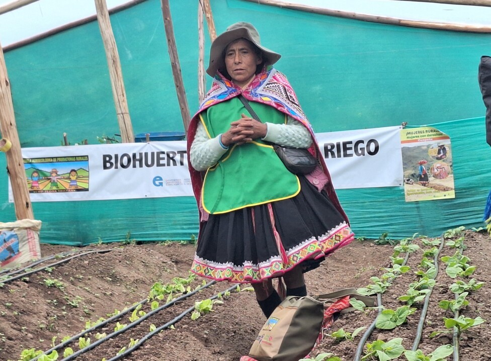 Campesinas andinas de Perú encaran crisis climática con prácticas agroecológicas : IPS Agencia de Noticias