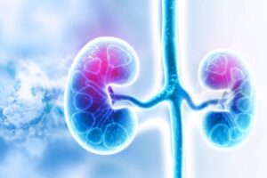 Cerca de 7 millones de españoles padecen enfermedad renal crónica pero solo el 10% en estadio inicial lo sabe