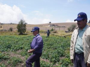 Créditos para campesinos: Gobierno ofrece hasta 40% de descuento por invertir en riego | Agro | Economía